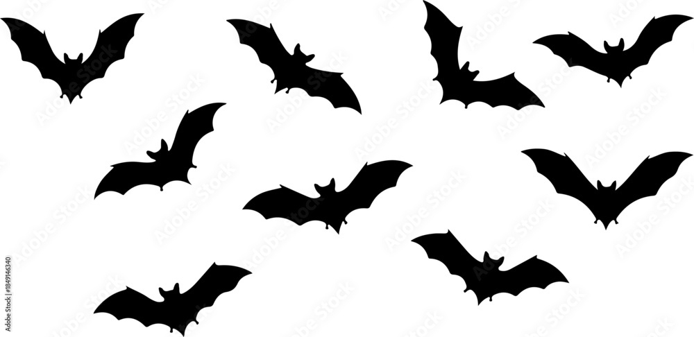 Obraz premium Flying Bat Silhouettes Collection