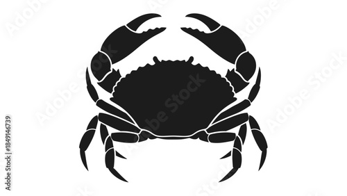 Minimalistic Black and White Illustration of a Crabby Creature with Detailed Claws and Body