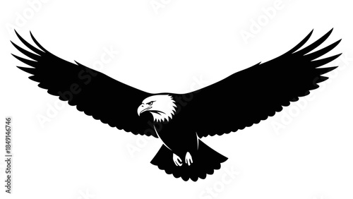 Bold eagle soaring with outstretched wings in a striking black and white silhouette for dynamic