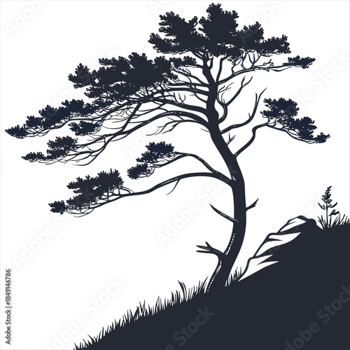 Cypress tree silhouette illustration nature