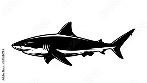 Silhouette Illustration of a predatory shark swimming with a streamlined body and sharp fins in