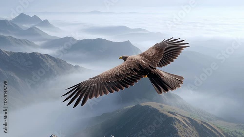 Adler im Flug über nebliger Berglandschaft