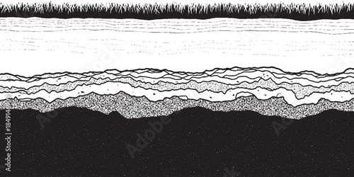 Detailed monochrome illustration of abstract layered organic textures.