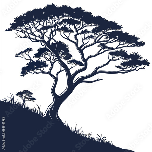Cypress tree silhouette illustration nature