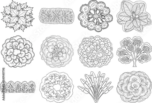 Collection of intricate biological cell illustrations in various shapes and forms