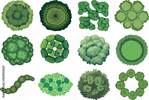 Collection of various green algae and cyanobacteria colonies