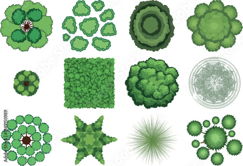 Collection of microscopic algae and phytoplankton cells in various shapes and sizes