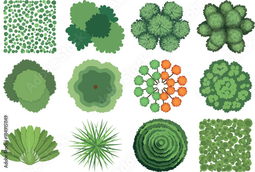 Collection of various green leafy plants and algae with diverse shapes and textures