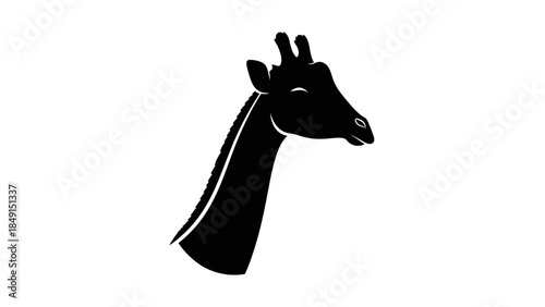 Minimalist Black and White Illustration of a Giraffe's Head and Neck in Side Profile with Elegant