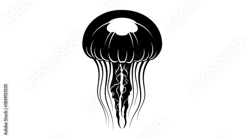 Minimalist Illustration of a Jellyfish in Black and White with Simplified Tentacles