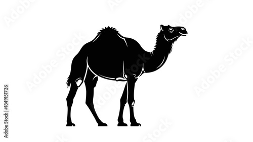 Silhouette Illustration of a Camel with Distinct Features and Expressive Expression