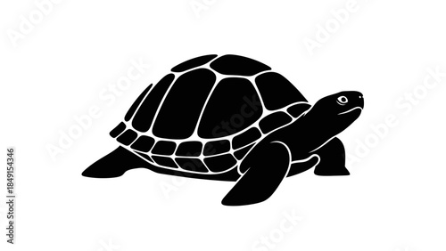 Stylized black and white silhouette of a tortoise showcasing detailed shell and limbs in