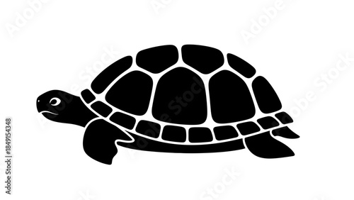 Minimalist Black and White Illustration of a Turtle with Detailed Shell and Flippers
