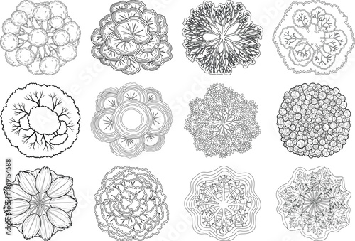 Collection of intricate floral designs and patterns in black and white