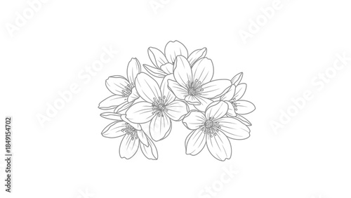 Elegant floral line art illustration featuring a cluster of delicate blooming flowers showcasing