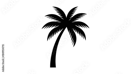 Minimalist Black Palm Tree Silhouette on White Background for Tropical Design