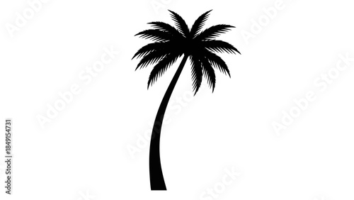 Silhouette of a solitary palm tree against a stark white background evoking tropical tranquility