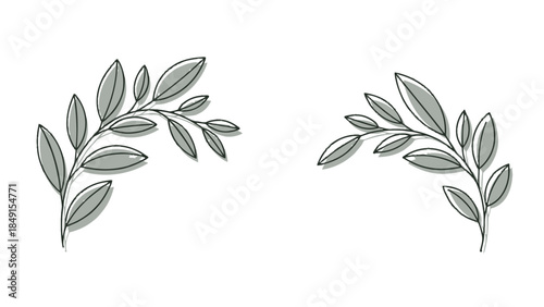 Minimalist botanical illustration featuring two elegant leafy branches with subtle shading and