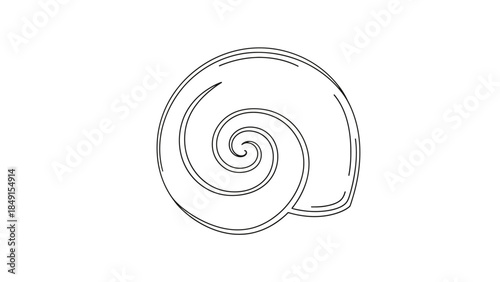 Minimalist Line Art of a Coiled Nautilus Shell Illustration for Nature Inspired Designs