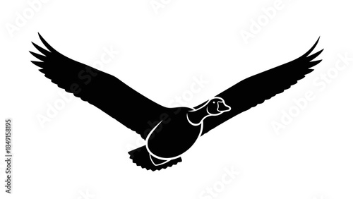 Minimalist silhouette of a soaring bird with outstretched wings in black on white background