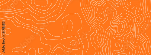 Sushi tuna pattern for salmon meat texture and fish abstract wood. Lines bg graphic for red healthy nail and wave illustration raw. Sushi skin sashimi for salmon seafood line and meat.