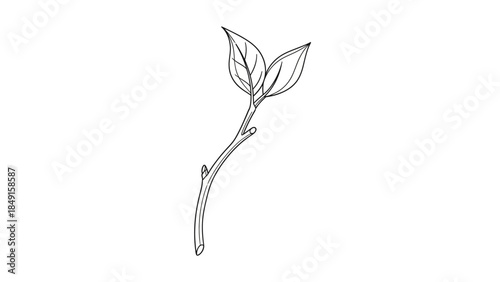 Minimalist line drawing of a young sprouting plant illustrating growth and nature