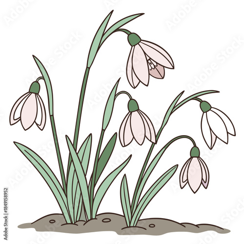 Delicate white flowers blooming in spring