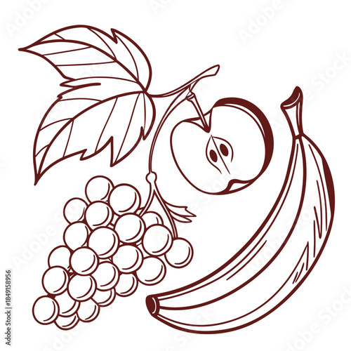 Assorted fruits illustration