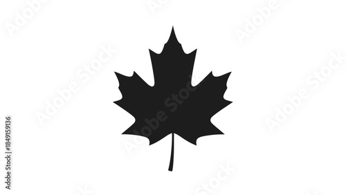 Minimalist Black and White Icon of a Classic Canadian Maple Leaf Symbol for National Identity