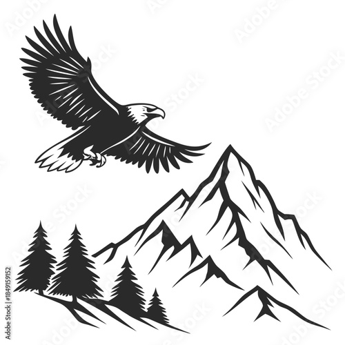 Eagle soaring over mountain range