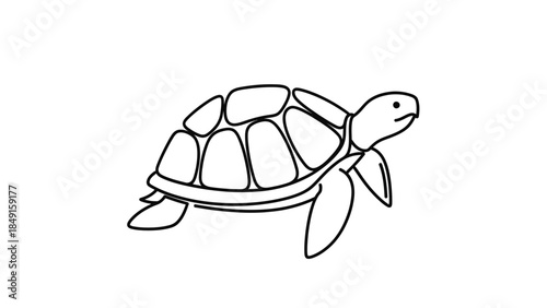Simple black and white outline drawing of a turtle illustrating basic features