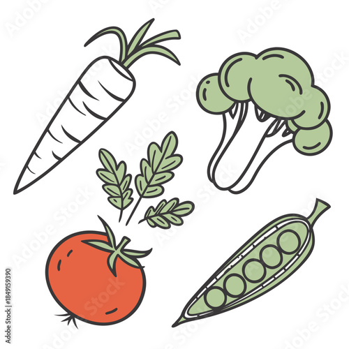 Assorted fresh vegetables