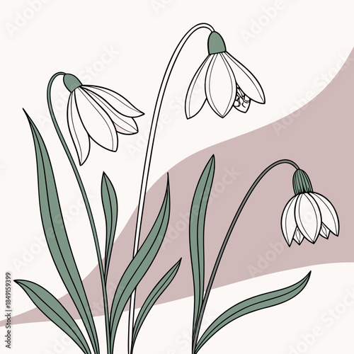 Illustrated snowdrops in pastel