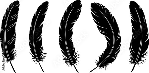 Black Feather Silhouette Set – Elegant Bird Feather Collection