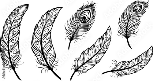 Black Feather Silhouette Set – Elegant Bird Feather Collection