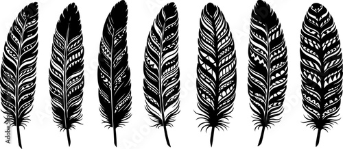 Black Feather Silhouette Set – Elegant Bird Feather Collection