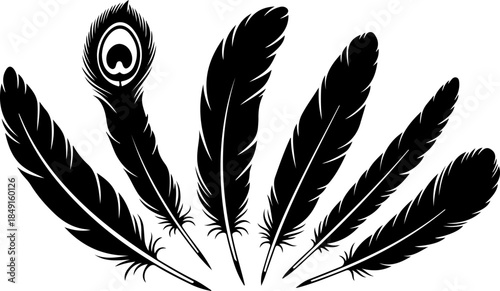 Black Feather Silhouette Set – Elegant Bird Feather Collection
