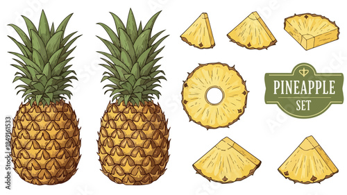 Illustration of two whole pineapples and various sliced pieces arranged on a clean white background with a green label.