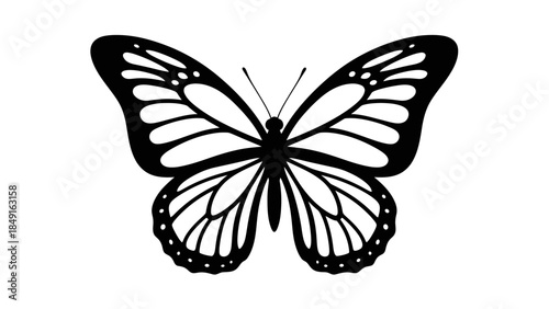 Elegant Monochrome Butterfly Illustration Showcasing Intricate Wing Patterns and Symmetry