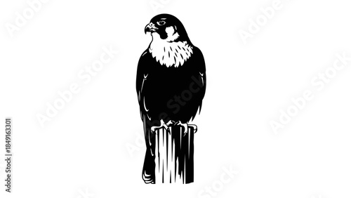 Minimalistic Black and White Illustration of a Peregrine Falcon Perched on a Wooden Post