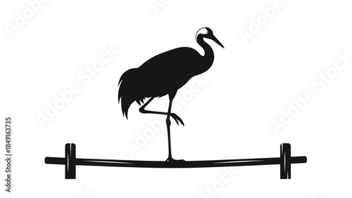 Silhouette of a heron balancing on a slackline showcasing nature's grace and avian agility