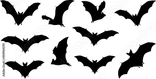 Bat Silhouette Collection – Flying Halloween Bat Vector Set