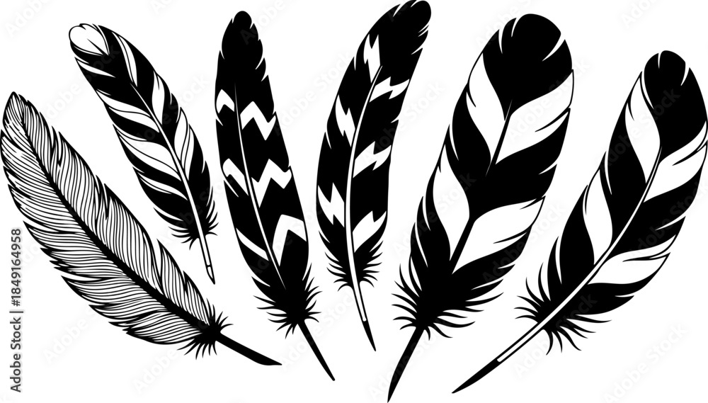Obraz premium Black Feather Silhouette Set – Elegant Bird Feather Collection
