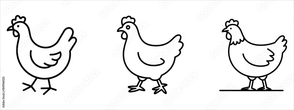 Fototapeta premium Three simple black line drawn chickens standing vector.