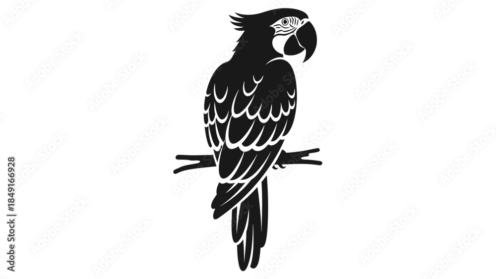 Fototapeta premium Minimalist Black and White Illustration of a Parrot Perched on a Branch for Graphic Design and