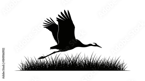 Silhouette of a flying heron bird with outstretched wings over grassland scene emphasizing nature