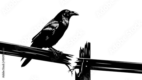 Stylized black and white illustration of a crow perched on a wooden fence with minimalistic design