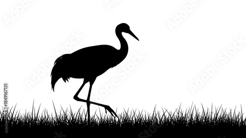 Silhouetted Crane Standing in Tall Grass Against Clear Sky During Daylight