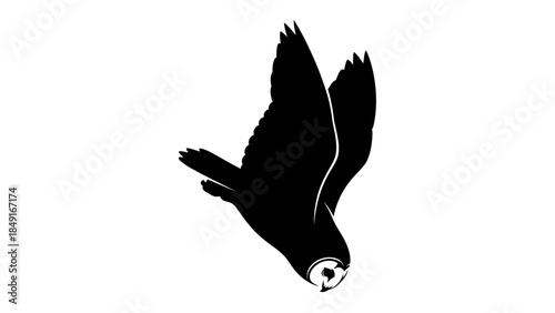 Minimalist black and white silhouette of a soaring bird with detailed wings for artistic and
