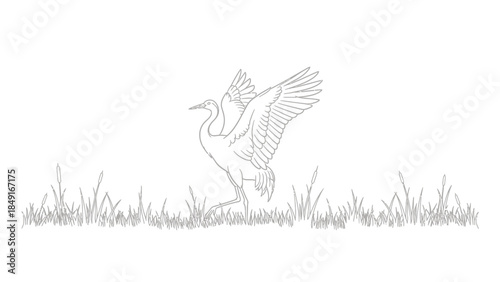 Minimalist Line Drawing of a Crane in a Natural Habitat with Tall Grass